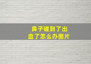 鼻子碰到了出血了怎么办图片