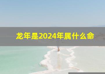 龙年是2024年属什么命