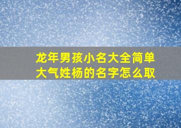 龙年男孩小名大全简单大气姓杨的名字怎么取