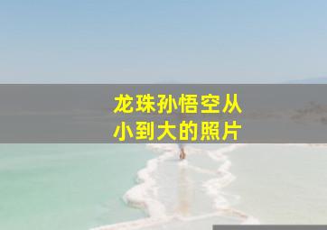 龙珠孙悟空从小到大的照片