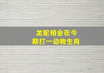 龙蛇相会在今期打一动物生肖