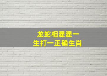 龙蛇相混混一生打一正确生肖