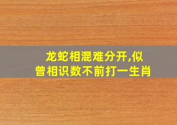 龙蛇相混难分开,似曾相识数不前打一生肖