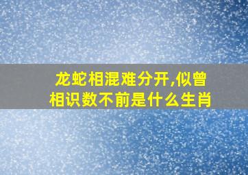 龙蛇相混难分开,似曾相识数不前是什么生肖