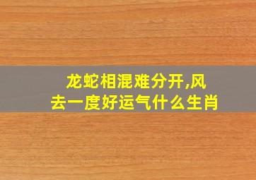 龙蛇相混难分开,风去一度好运气什么生肖