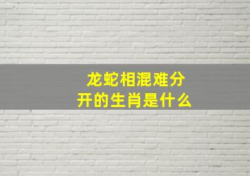 龙蛇相混难分开的生肖是什么