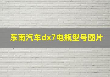 东南汽车dx7电瓶型号图片