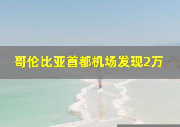 哥伦比亚首都机场发现2万