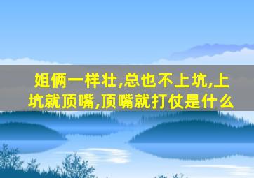 姐俩一样壮,总也不上坑,上坑就顶嘴,顶嘴就打仗是什么