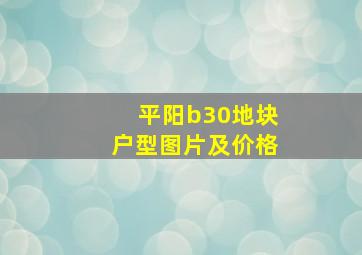 平阳b30地块户型图片及价格