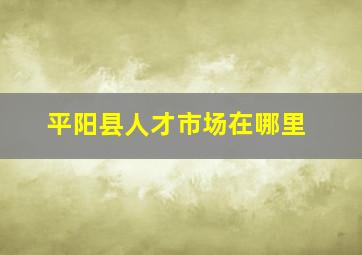 平阳县人才市场在哪里