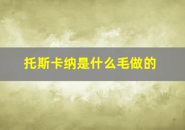 托斯卡纳是什么毛做的