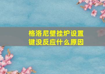 格洛尼壁挂炉设置键没反应什么原因