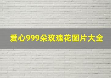 爱心999朵玫瑰花图片大全